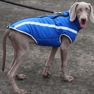 Manufacturer wholesale outdoor cool style highly reflective threads dog jacket waterproof coats