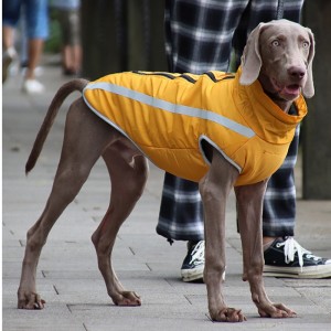 Low MOQ cost affordable classic version dog rain jacket dog clothes