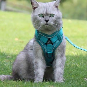 Fashion Pet Vest type traction chest strap cat dog adjustable retractable traction rope walking dog rope collar