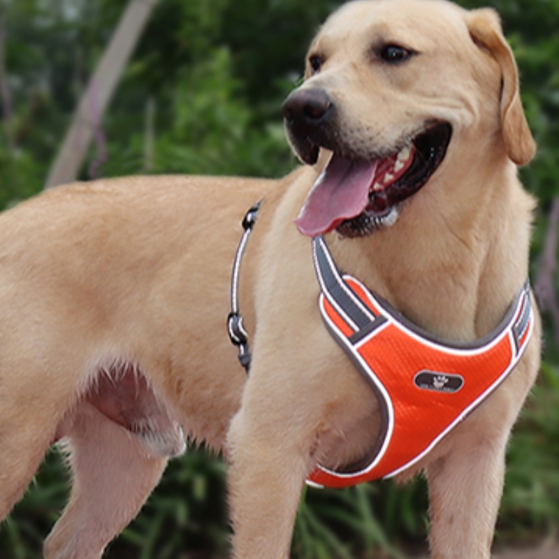 Wholesale OEM Manufacture Custom High End Dog Harness Luxury Pet Dog Reversible Harness Reflective Dog Harness
